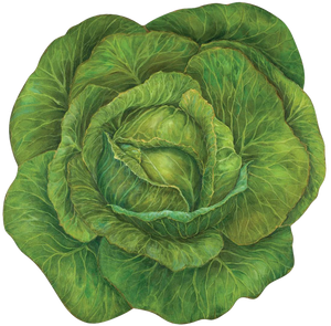 Cabbage Placemats [Pack of 12]