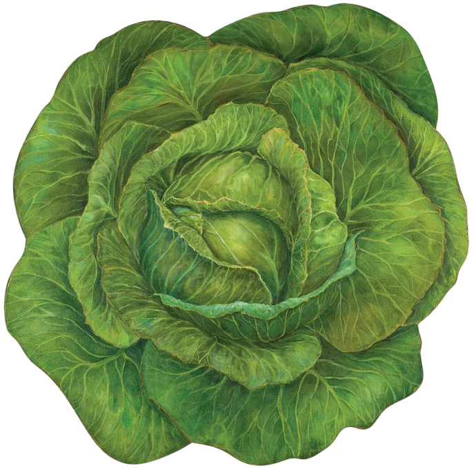 Cabbage Placemats [Pack of 12]