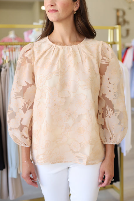 Ruched Neck Organza Top