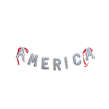 America Ticking Linen Puffy Banner