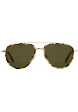 COLEMAN | 12K + Nikko Tortoise