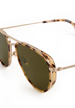 COLEMAN | 12K + Nikko Tortoise
