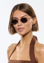 KATE | 12k + Nikko Tortoise