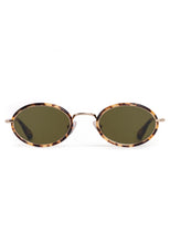 KATE | 12k + Nikko Tortoise