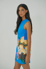 Janesta Dress