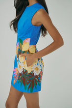 Janesta Dress