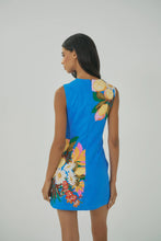 Janesta Dress
