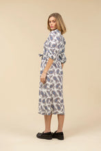 Brooks Dress, Grandpa's Paisley